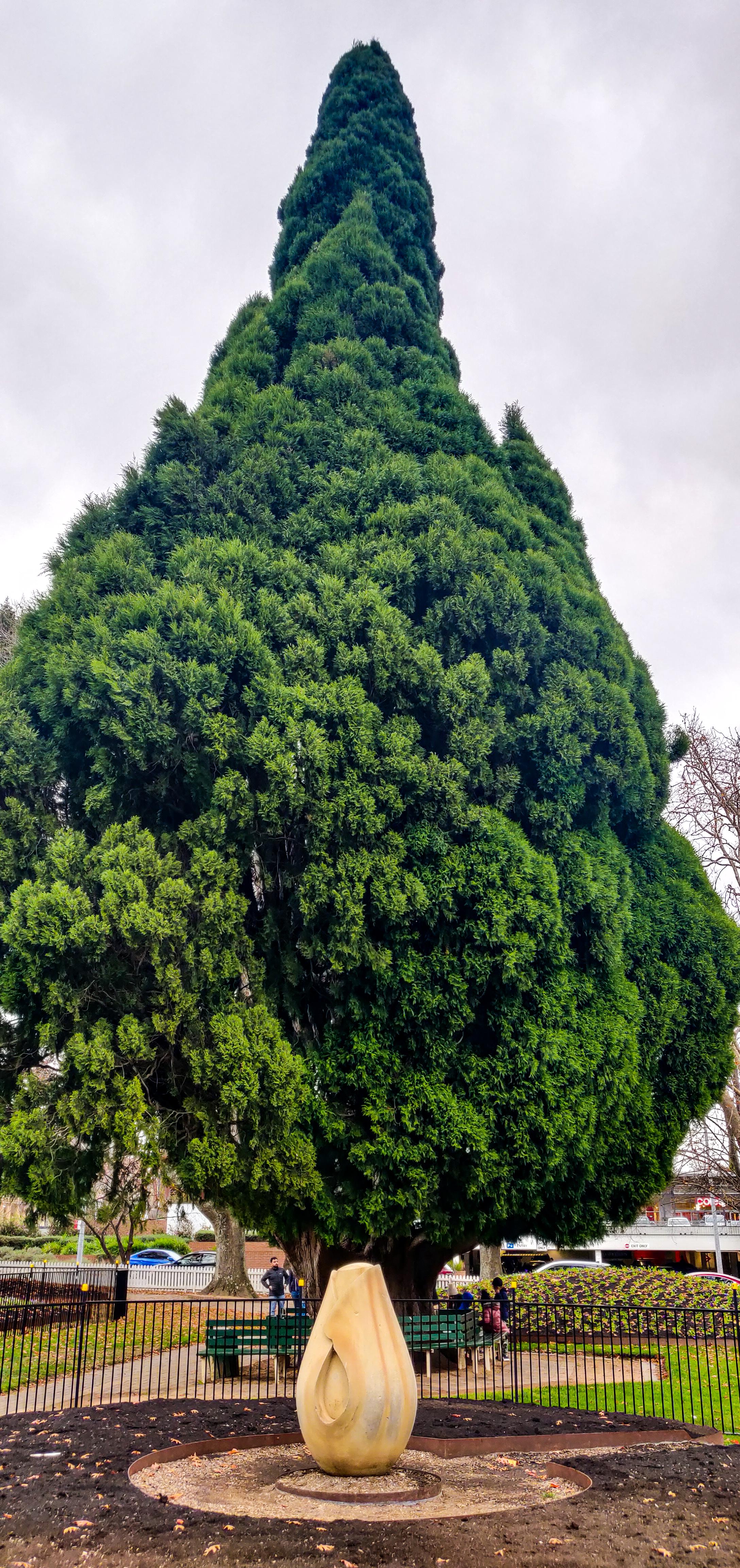 Corbett Gardens
